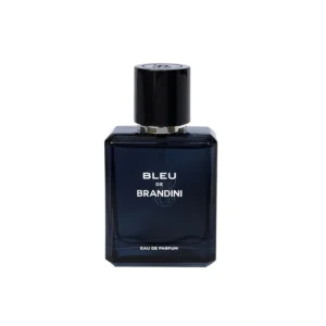 ادکلن مردانه برندینی مدل Bleu de Chanel